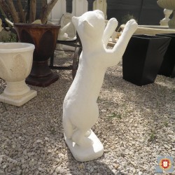 CHAT DEBOUT SUR DEUX PATTES