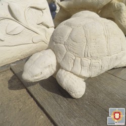 TORTUE BLANCHE (taille moyenne)