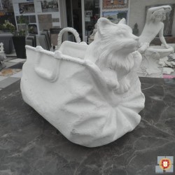 CHAT DANS UN SAC POT DE FLEURS