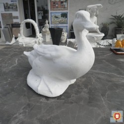 CANARD BLANC COUCHE