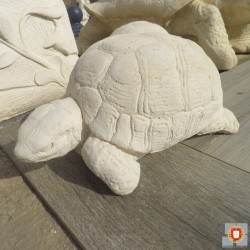 PETITE TORTUE BLANCHE